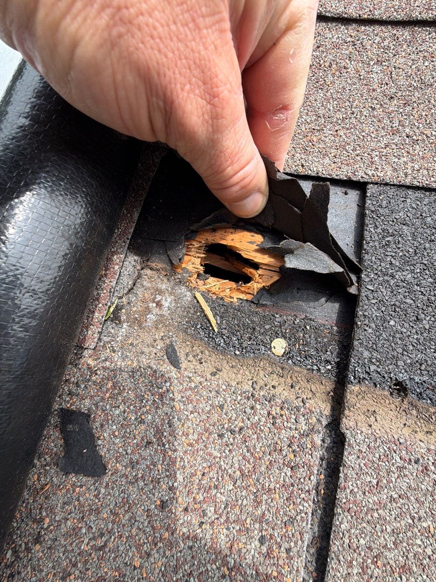 Causation and Damage Expert Reports for Catastrophe Loss Consultants in Fort Worth, TX