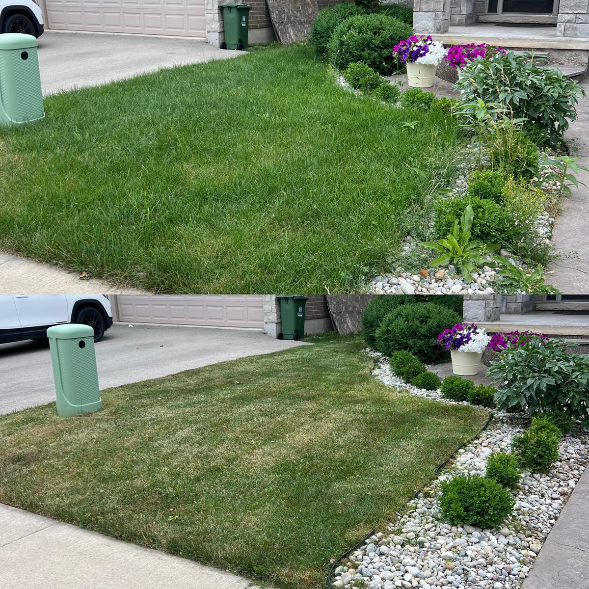 Lawn Care for CMN Exterior Maintenance in Hamilton, ON