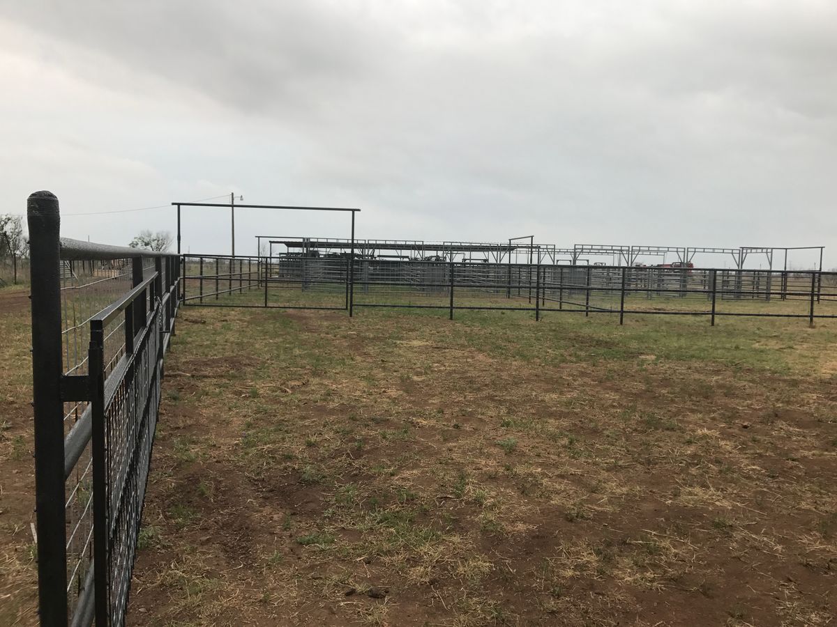 Cattle Pens for 5-7 Fencing & Construction in Madisonville, TX
