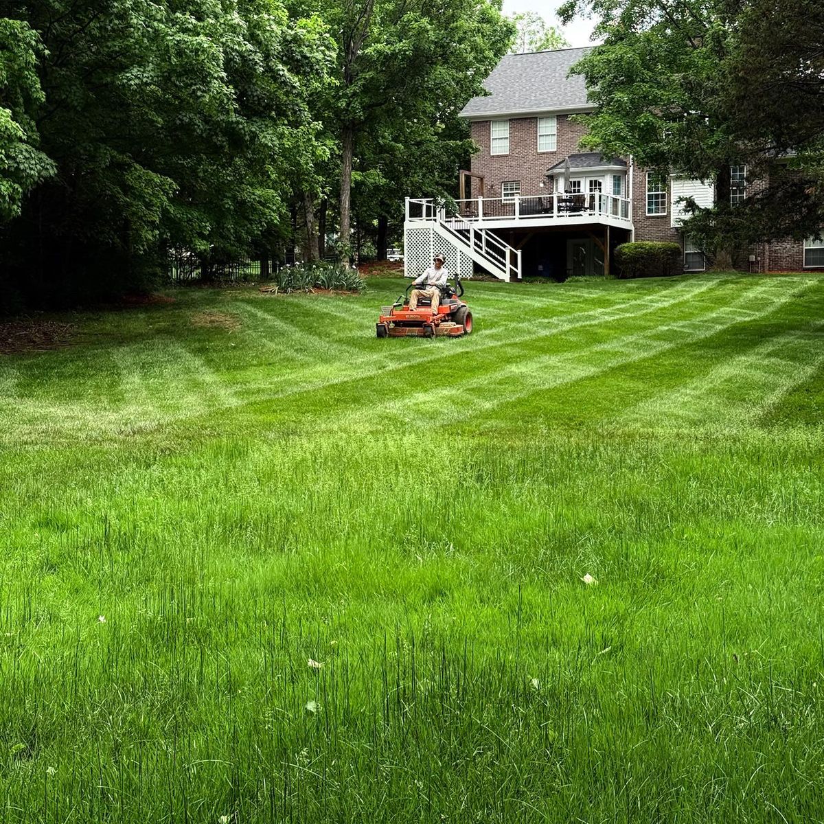 Lawn Maintenance for Nicholson Lawn Care in Jeffersonville, IN