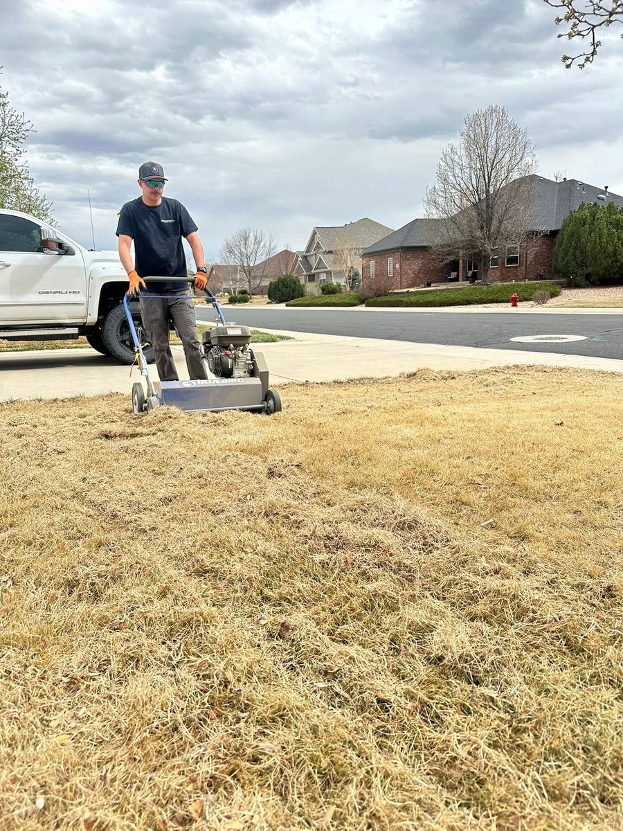 Power Rake for Manscaped Lawn Care in Firestone, CO