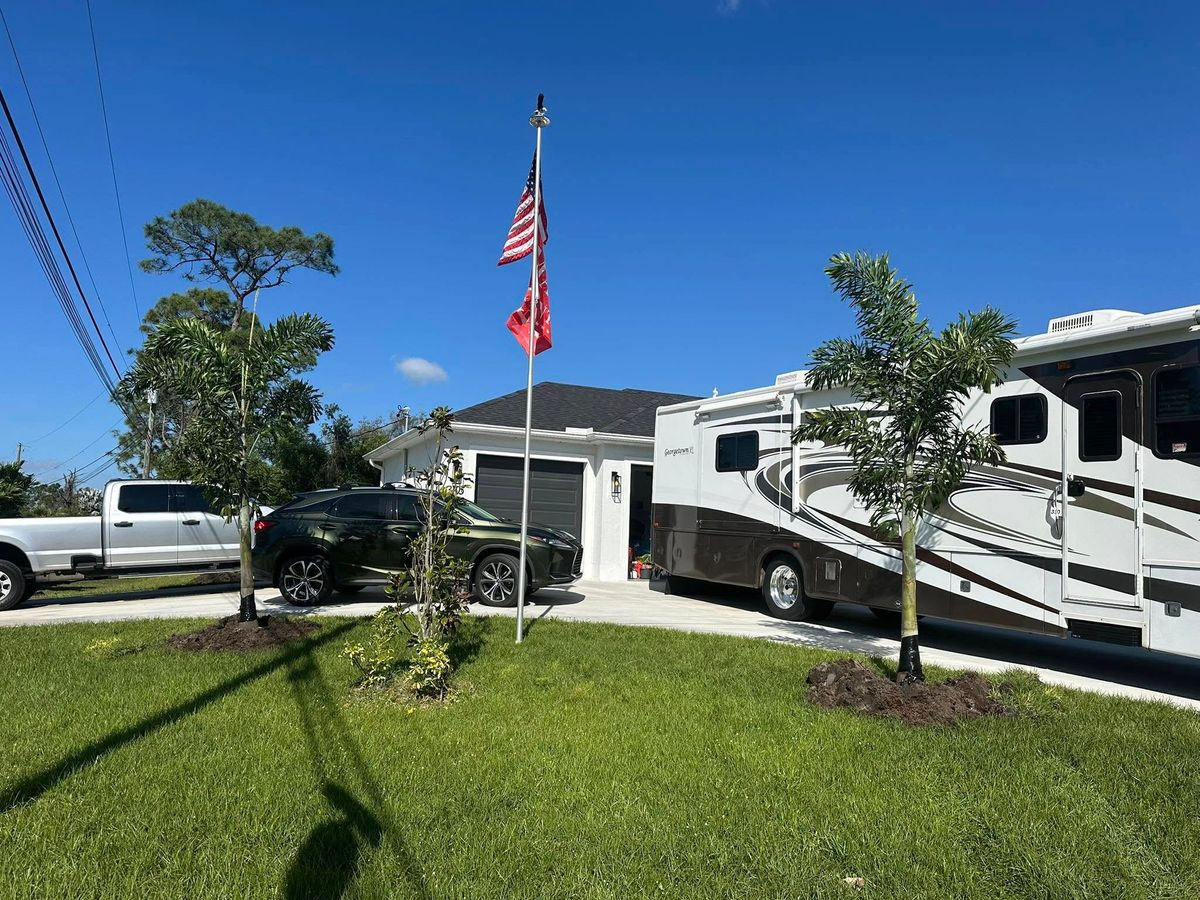 Palm and Trees for Plant World LLC in Cape Coral, FL