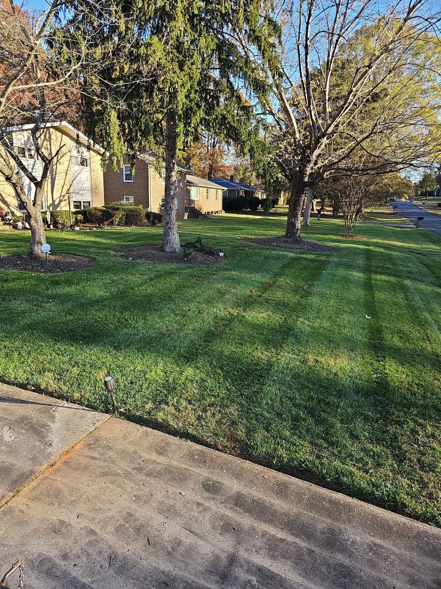 Lawn Fertilization and Weed Control for Massey Landscaping in Gastonia, NC