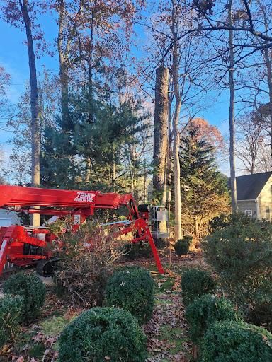 Tree Trimming for Smith Tree Experts in Palmyra, VA