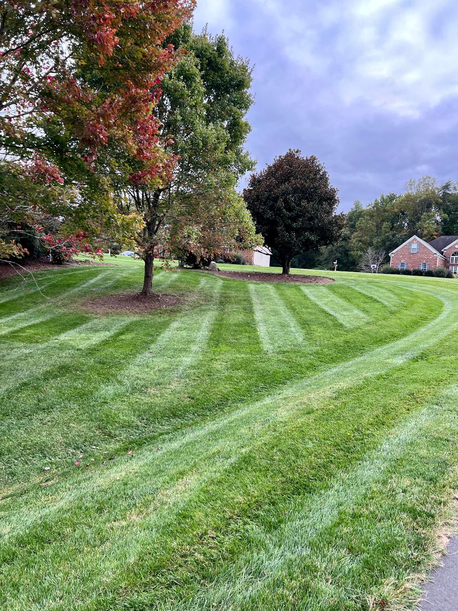 Fertilization and Weed Control Programs for Malboeuf Landscaping, Inc in Kernersville, NC