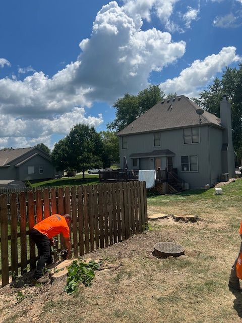 Tree Trimming for Cross Family Tree Service in Kearney, MO