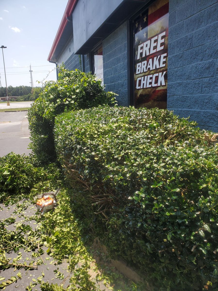 Shrub Trimming for Jimmy's Tractor & Landscaping Service LLC in Abbeville, South Carolina