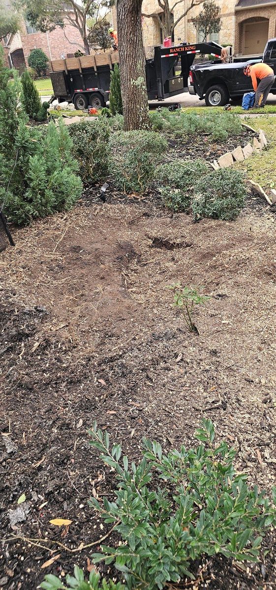 Tree Trimming for Servin's Tree Care  in Houston, TX