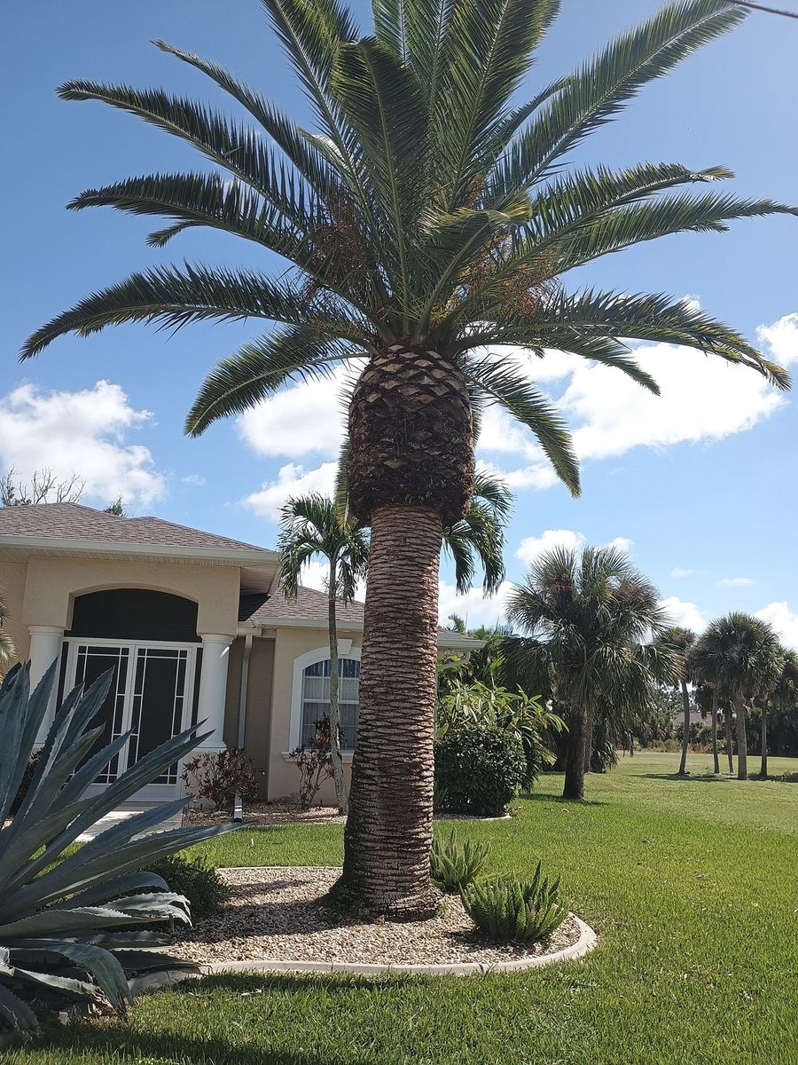 Flowerbed Installation and Maintenance for Unity Maintenance and More LLC in Englewood, FL