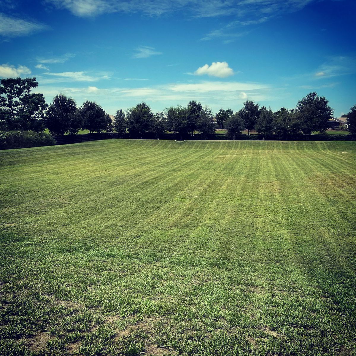 Commercial Property Maintenance for Village Lawn Services LLC in Lake Panasoffkee, FL