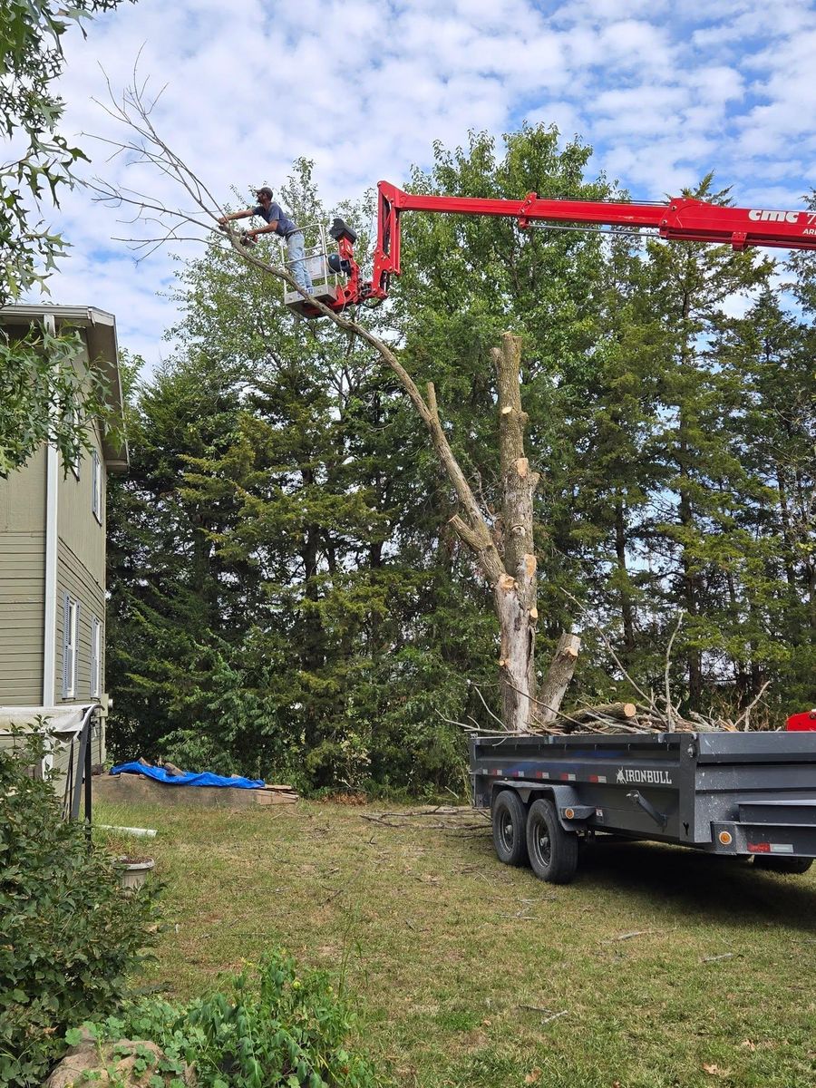 Tree Removal for Lawn Ranger Yard And Tree Service LLC in Ottumwa, IA