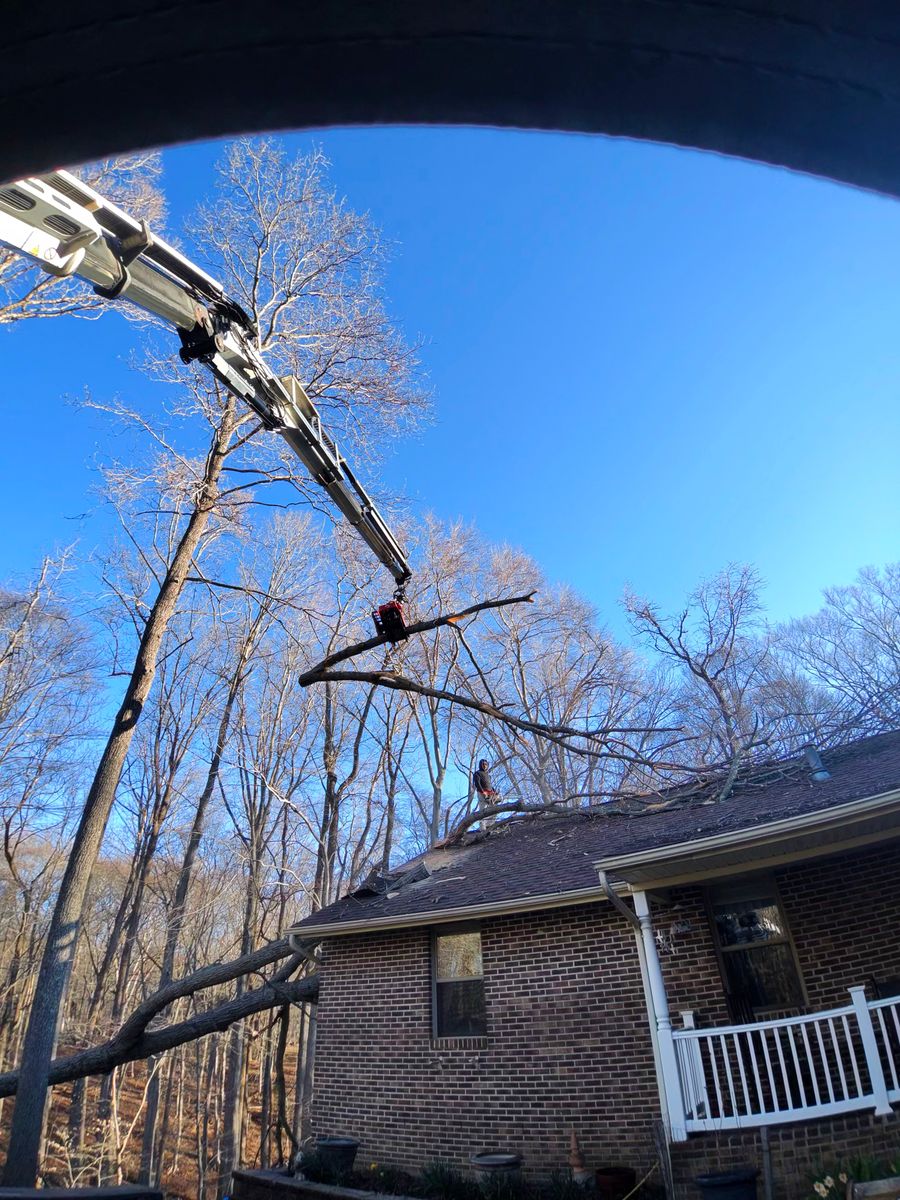 Emergency Storm Cleanup for Darbie's Tree Service in Newburg,  MD