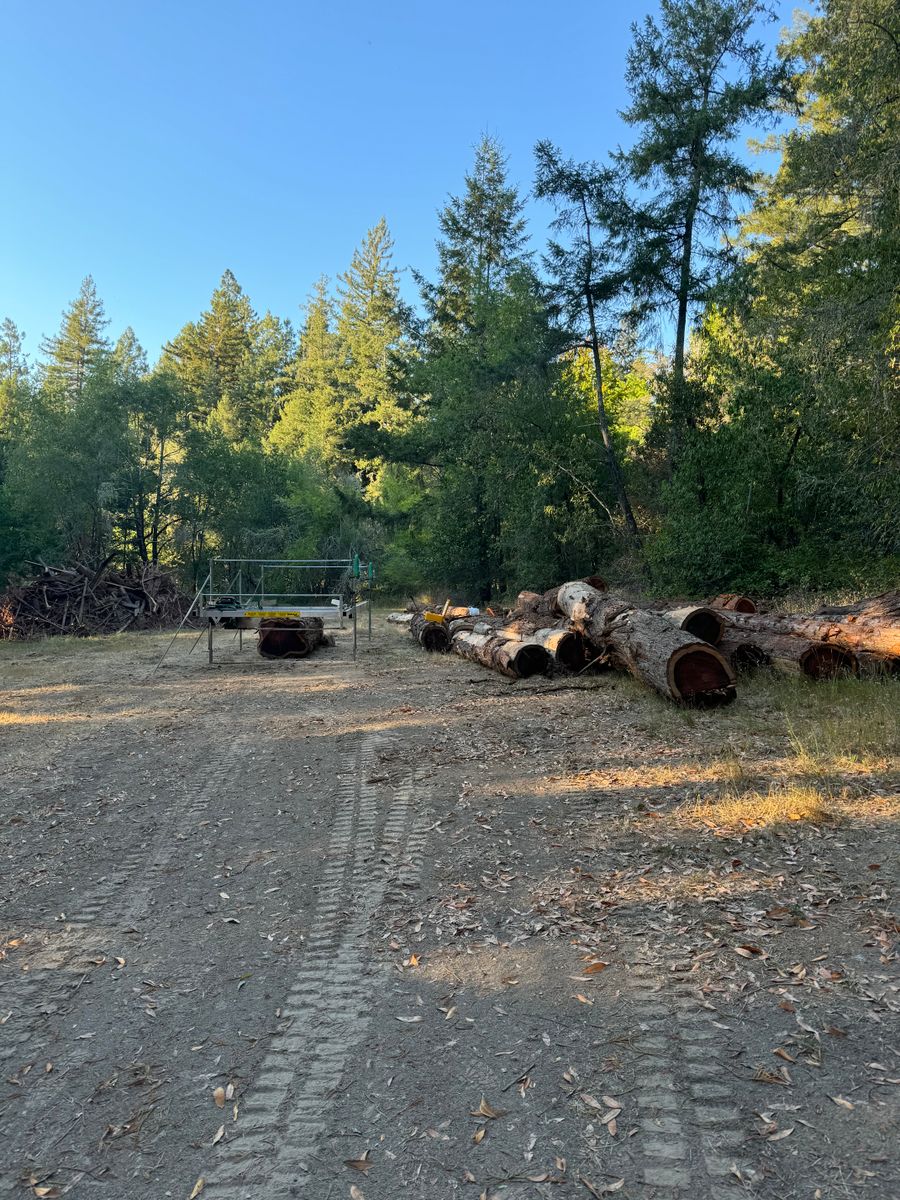 Mobile Milling for Ren Levine Construction in Novato, CA