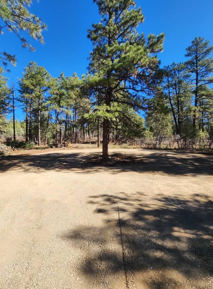 Site Preparation for Markham Septic & Excavation in Pagosa Springs, CO