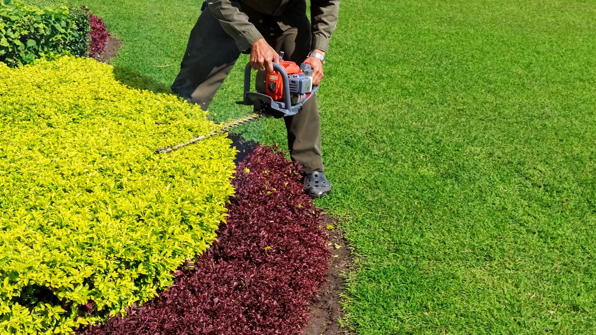 Landscape Design for MDR Landscaping in Urbana, IL