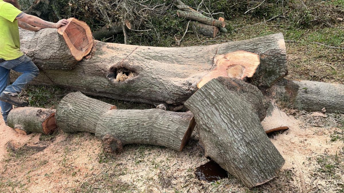 Emergency Storm Services for All Around Guys LLC in Ocala, FL