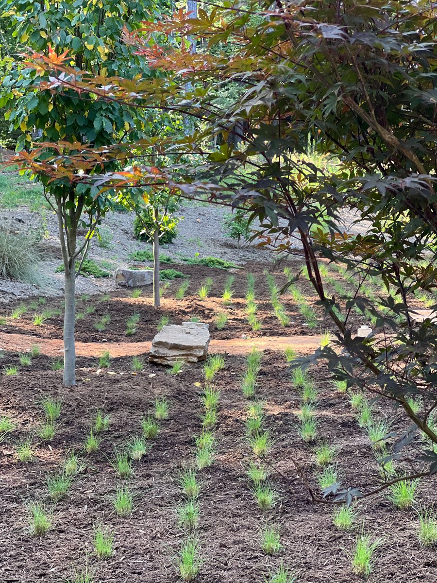 Erosion Control / Water Management for Christina King Landscape Design in West Raleigh, NC