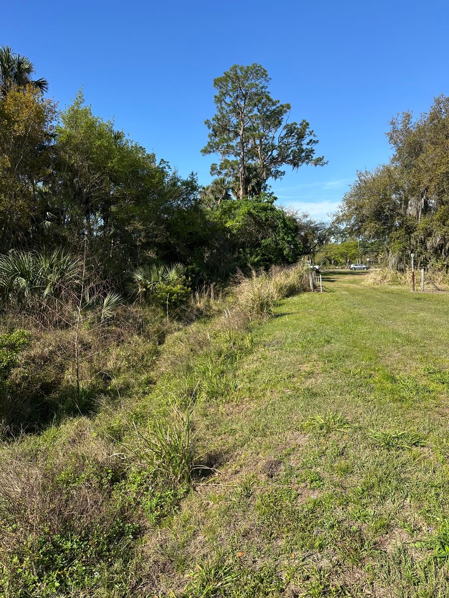 Tree Removal  for Orange Cypress Land Services in DeLand, FL