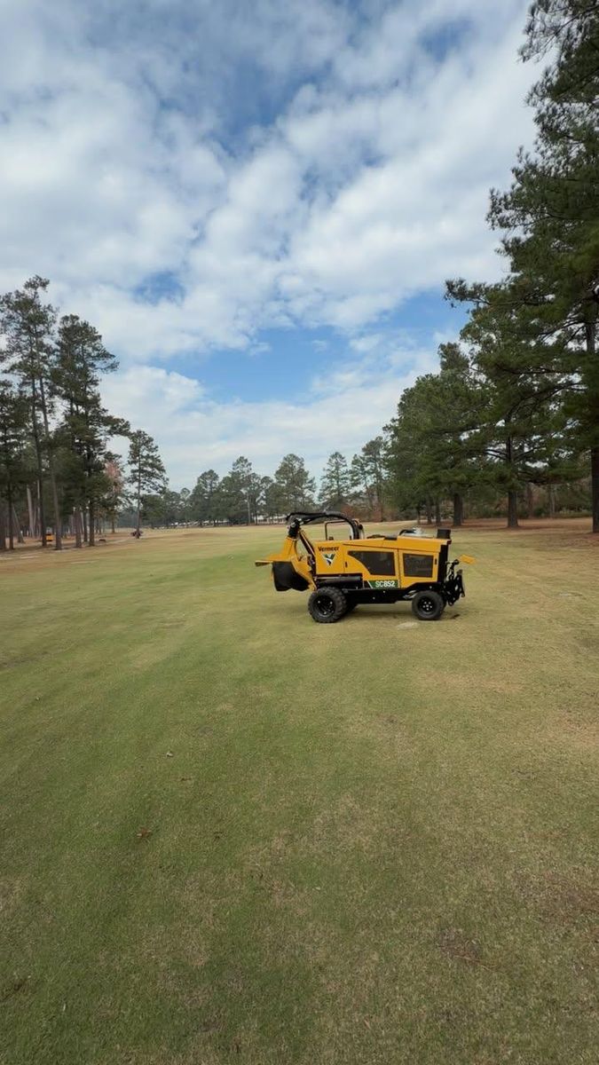Stump Excavation for Dozier Stump Grinding in Augusta, GA