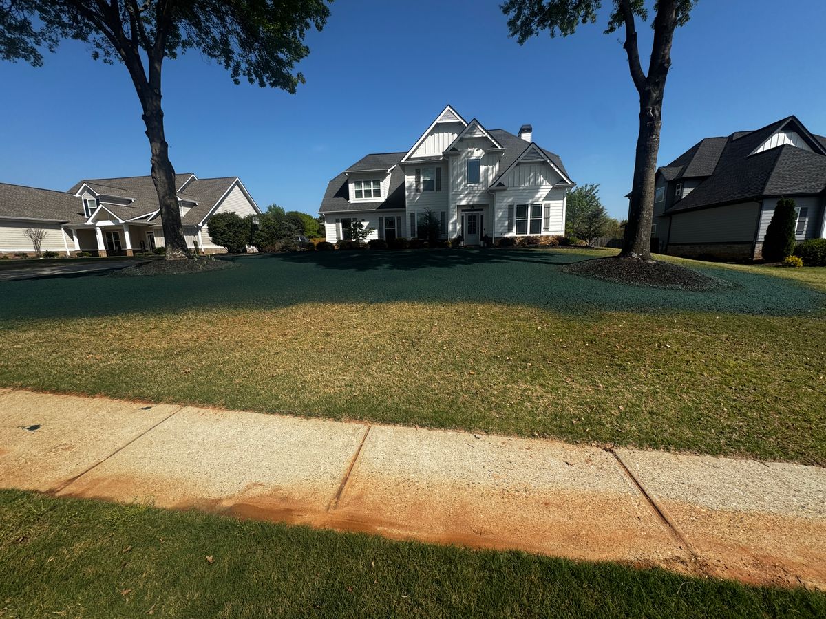 Hydroseeding for Deeply Rooted Lawns – Hydroseeding & Sod Installation Services in Winder, GA