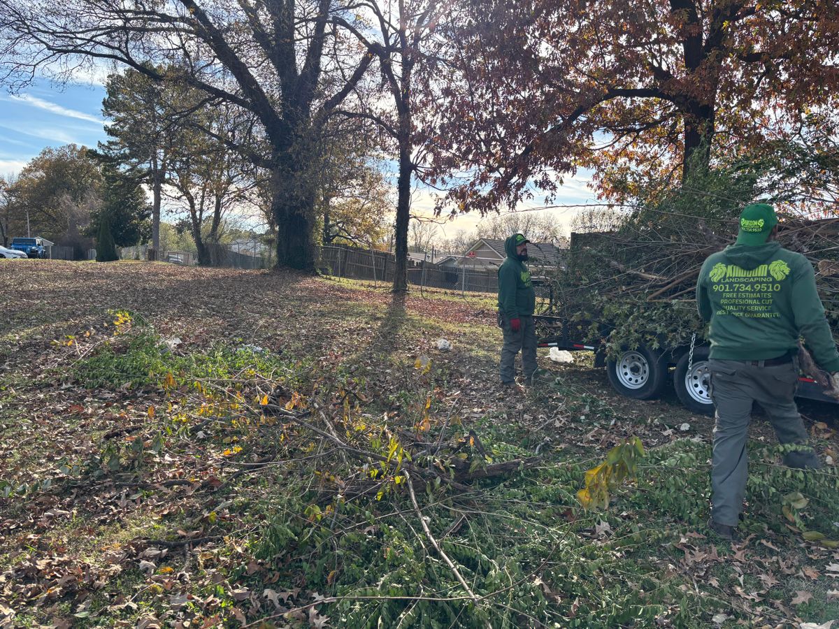 Tree Service for Kingdom Landscaping in Memphis, TN