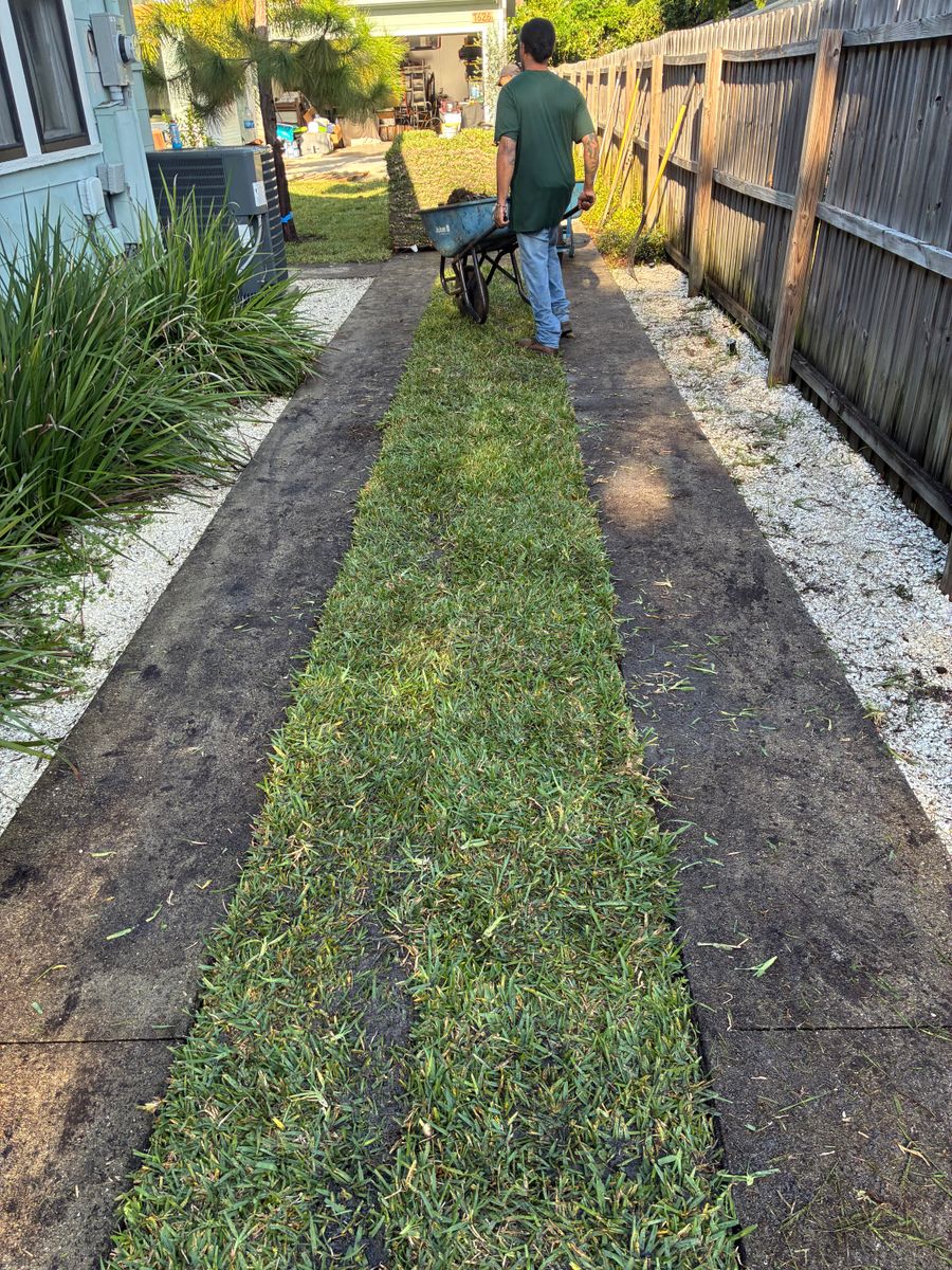 Landscape Design for Gulf Bay Sod in Clearwater, FL