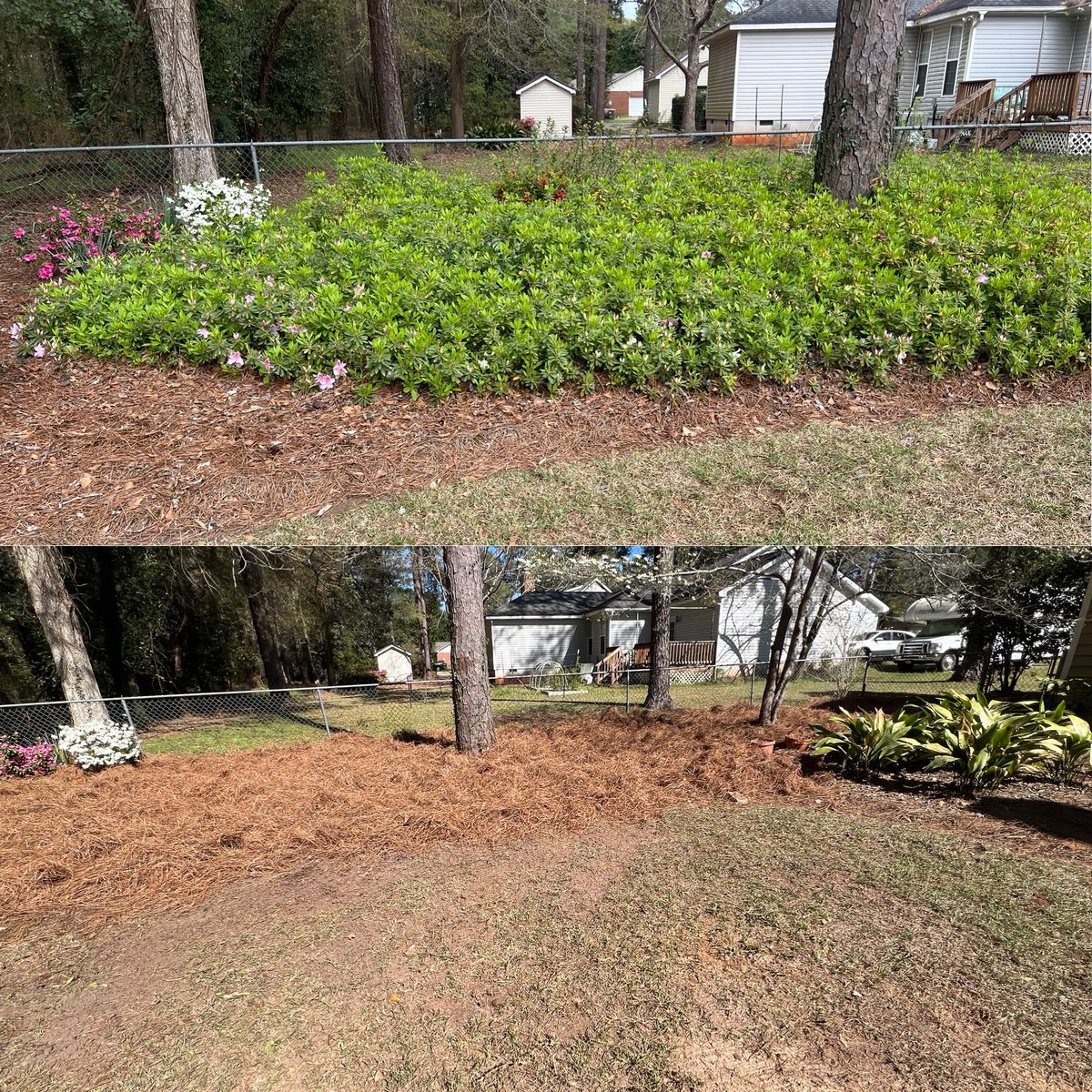 Turf, Ornamental, and Irrigation for Camalett Services in Perry, GA