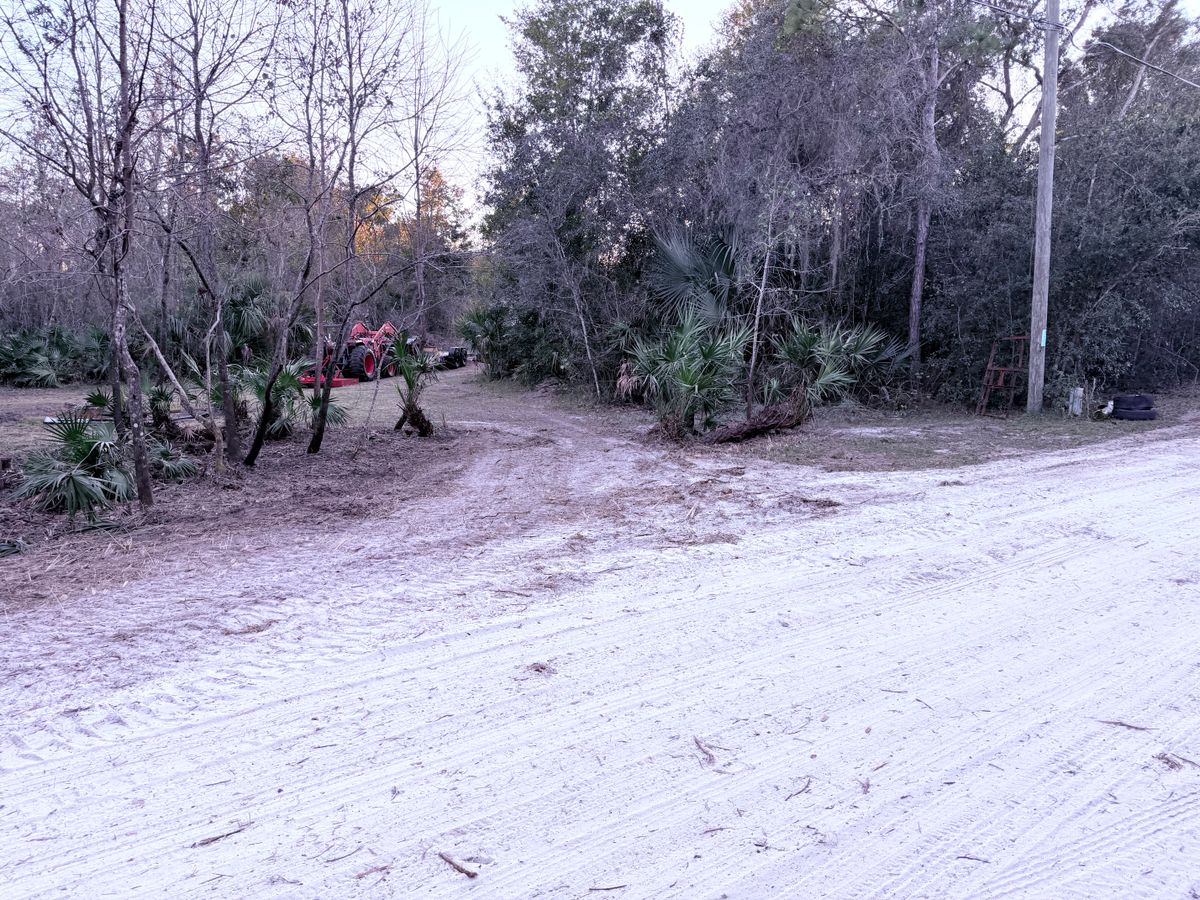 Fall Clean Up for Amerigrown Tree And Lawn in Apopka, FL