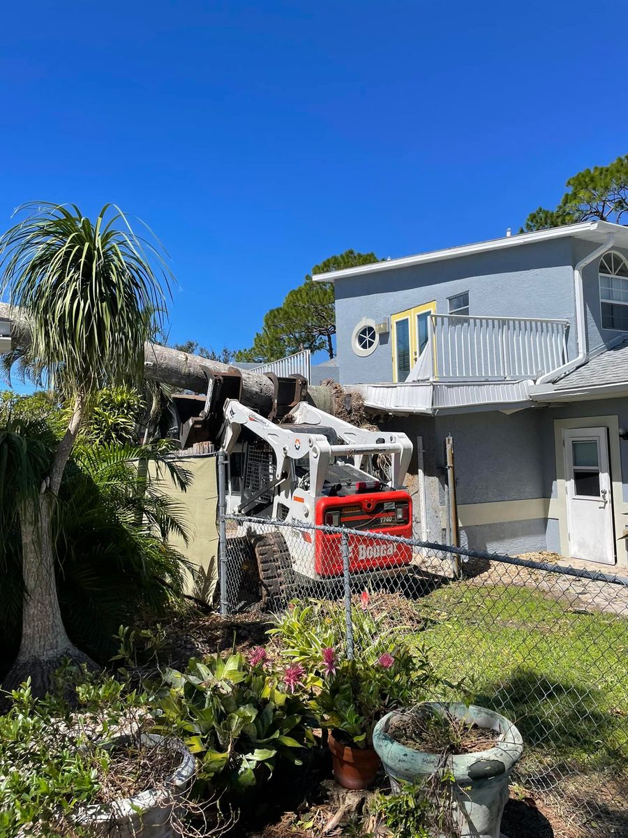 Tree Damage Insurance Claims for Bulldawg Disaster Response in Atlanta, GA