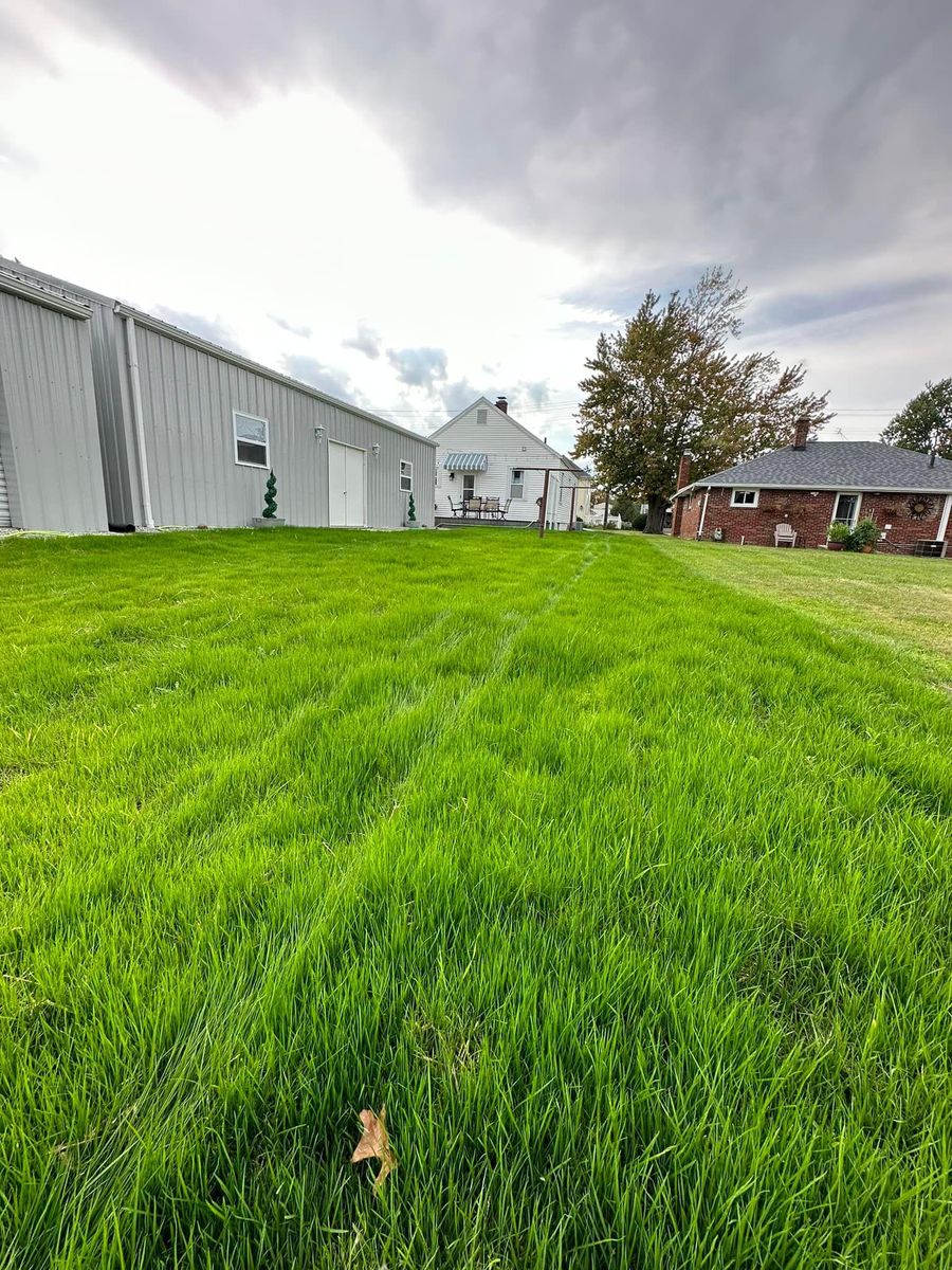 Turf Nutrition Program for Turf Rehab in Sandusky, OH