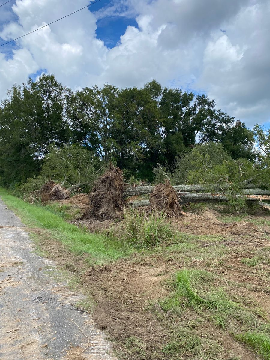 Land Clearing for Lambert Equipment Services in Hessmer, LA