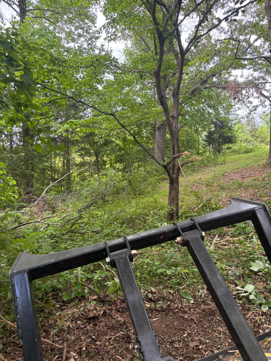 Land Clearing for Gregory Grass and Lawn in Lafayette, TN