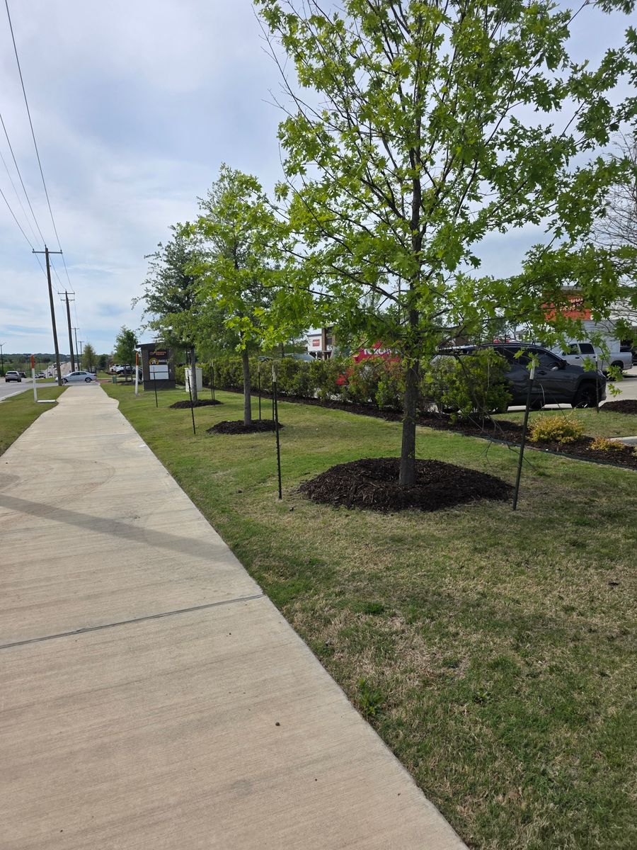 Landscape Design for RACSO RDZ LLC in McKinney, TX