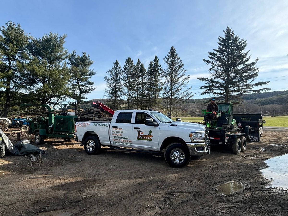 Hauling for T's Trees in Albany, NY