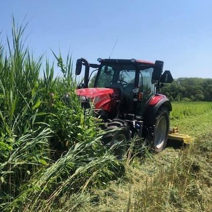 Bush Hogging for Mofield Property Services in  LaPorte County, IN