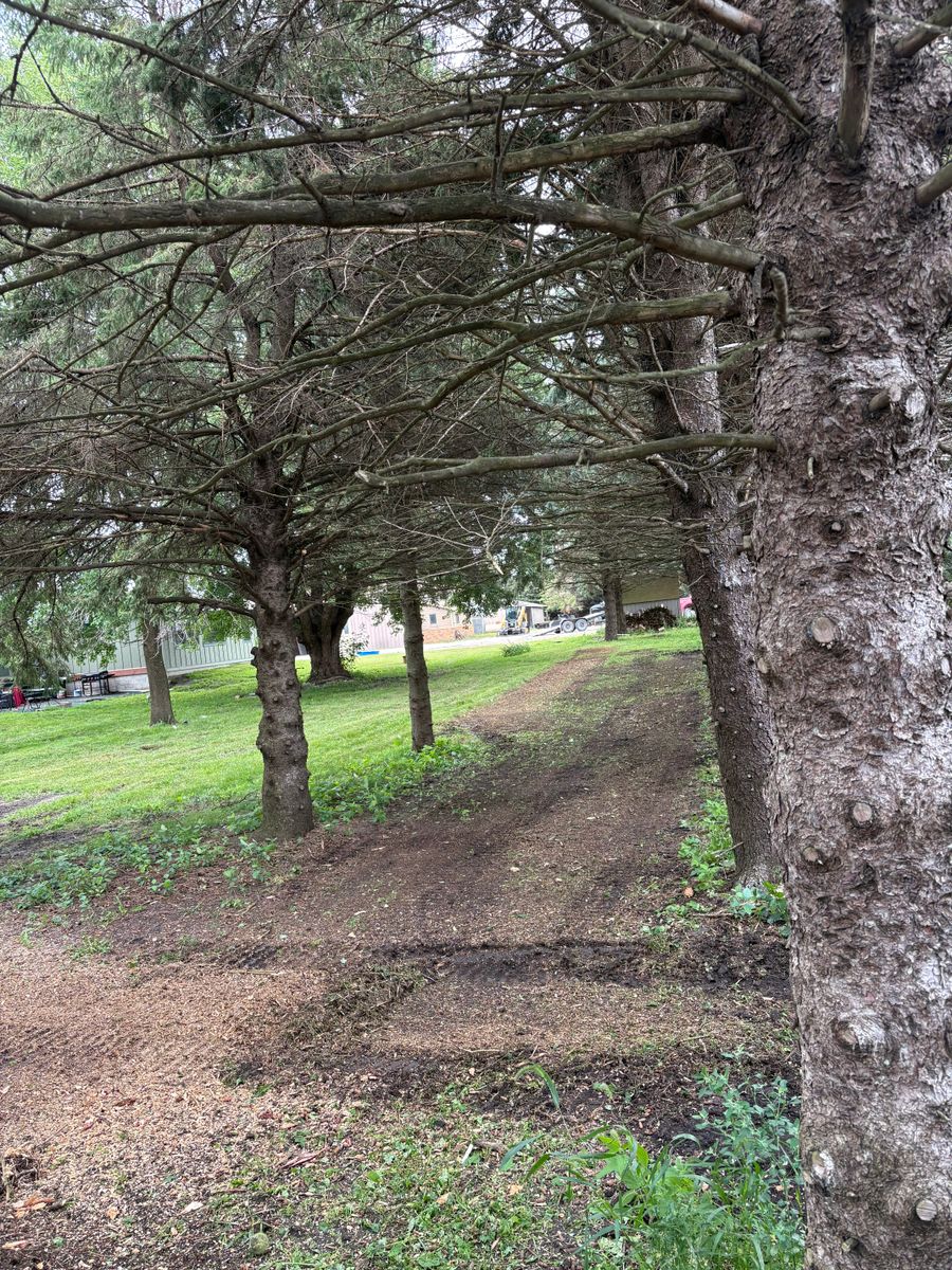 Land maintenance and brush control for Legge Farms and Drainage in Garner, IA