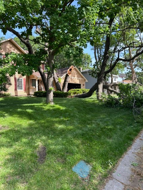 Tree Removal for Allstate Tree Service and Crane in Spring Lake Park, MN