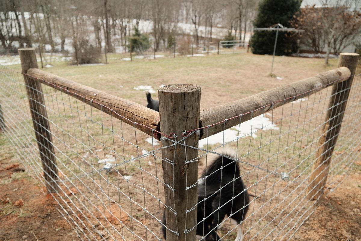 Farm Fences for Alpine Fence in Dahlonega, GA