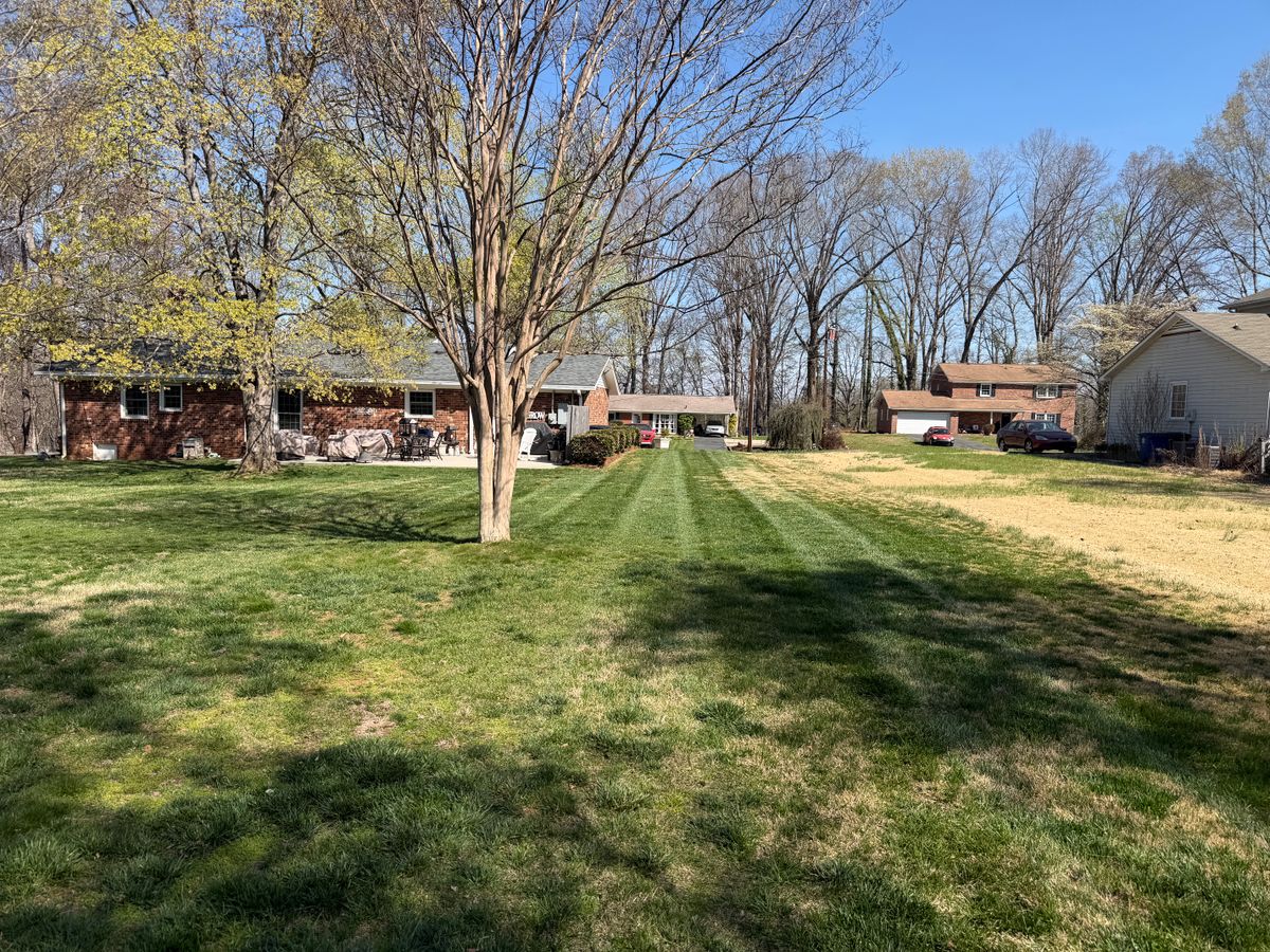 Lawn Mowing for Holloway Yard Company in Winston-Salem, NC