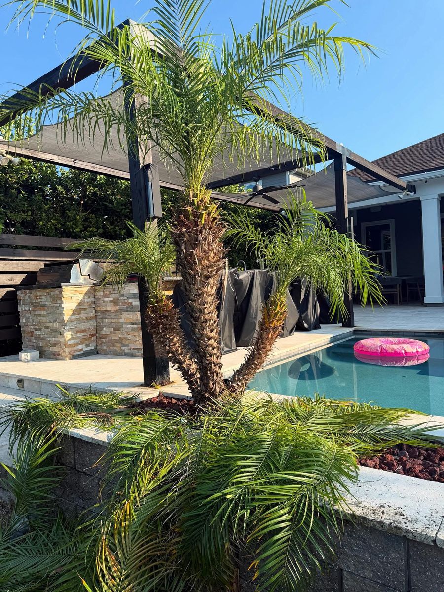 Shrub Trimming for Whole 9 Yards Services in Green Cove Springs, FL