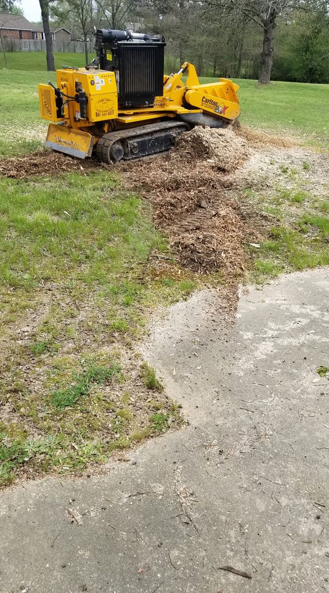 Stump Removal for Action Tree & Debris Removal in Jackson,  MS