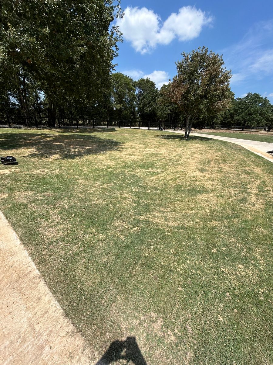 Sand Leveling for North Texas Groundscaping in Frisco, TX