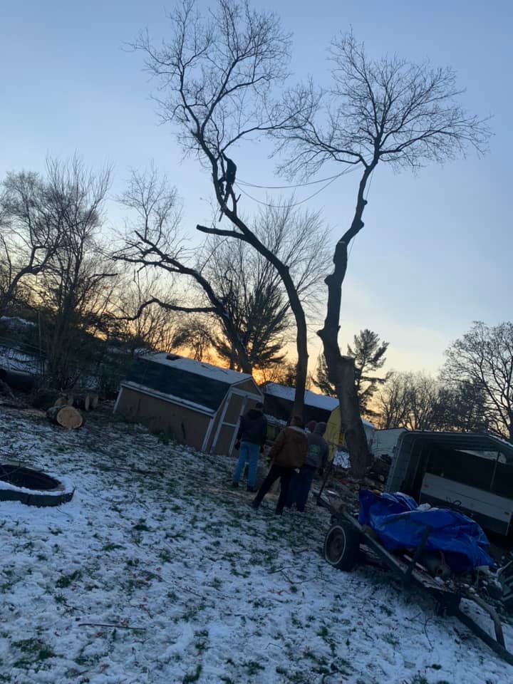 Tree Trimming for Ramirez Tree Care in Pontiac, Michigan