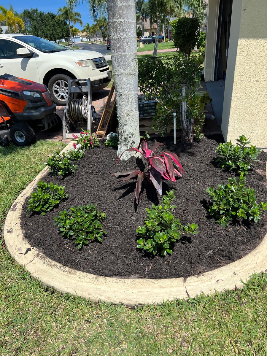 Flower Bed Installations for Florida Pro Turf in  Viera, FL