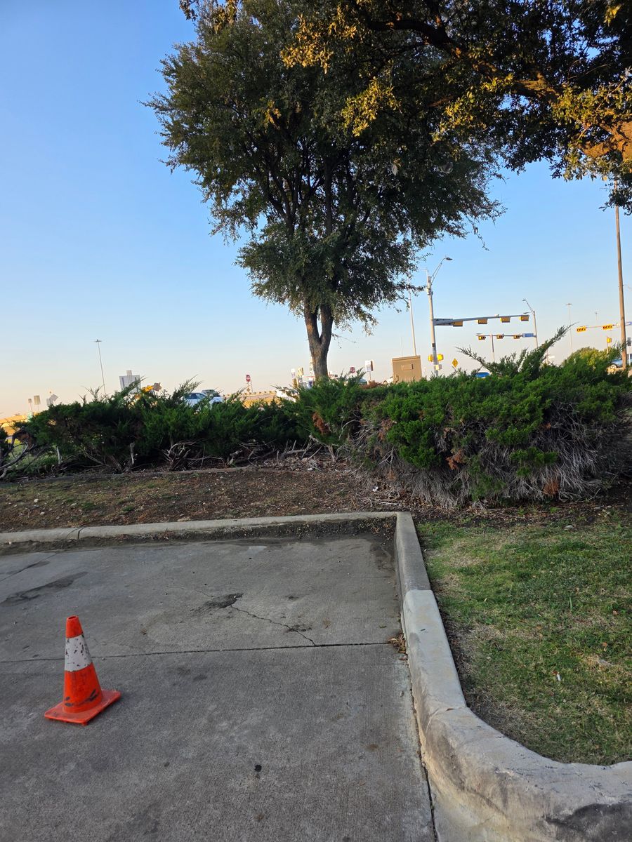 Commercial Lawn Maintenance for RACSO RDZ LLC in McKinney, TX