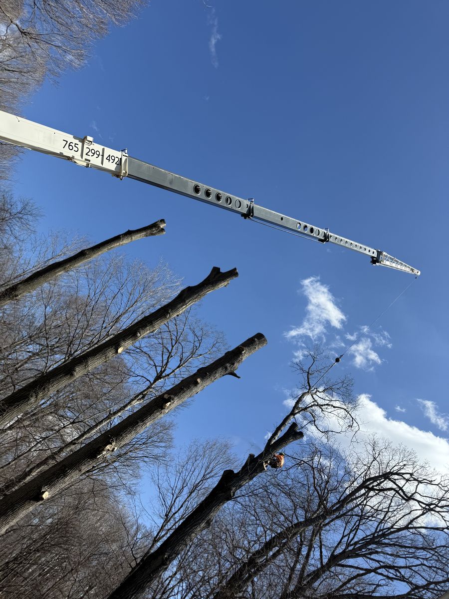 Tree Removal for Advanced Tree Solutions in Rockville, IN