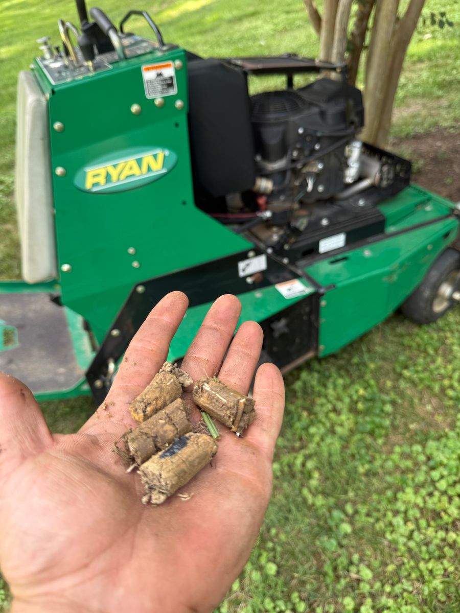 Lawn Aeration/ Installation for Chiles Lawn & Landscaping in Gordonsville, VA