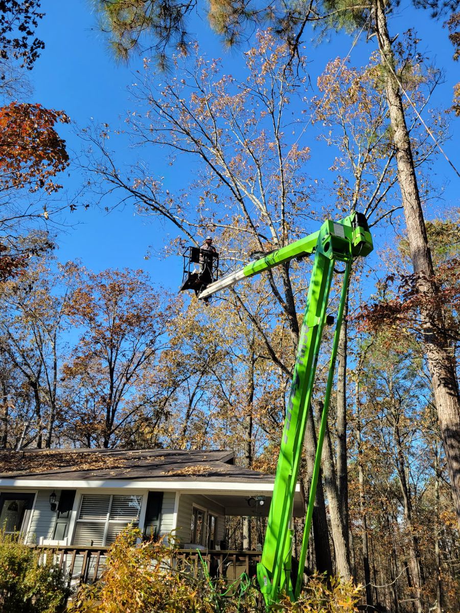Tree Trimming for Trees Unlimited of the CSRA in Augusta, GA