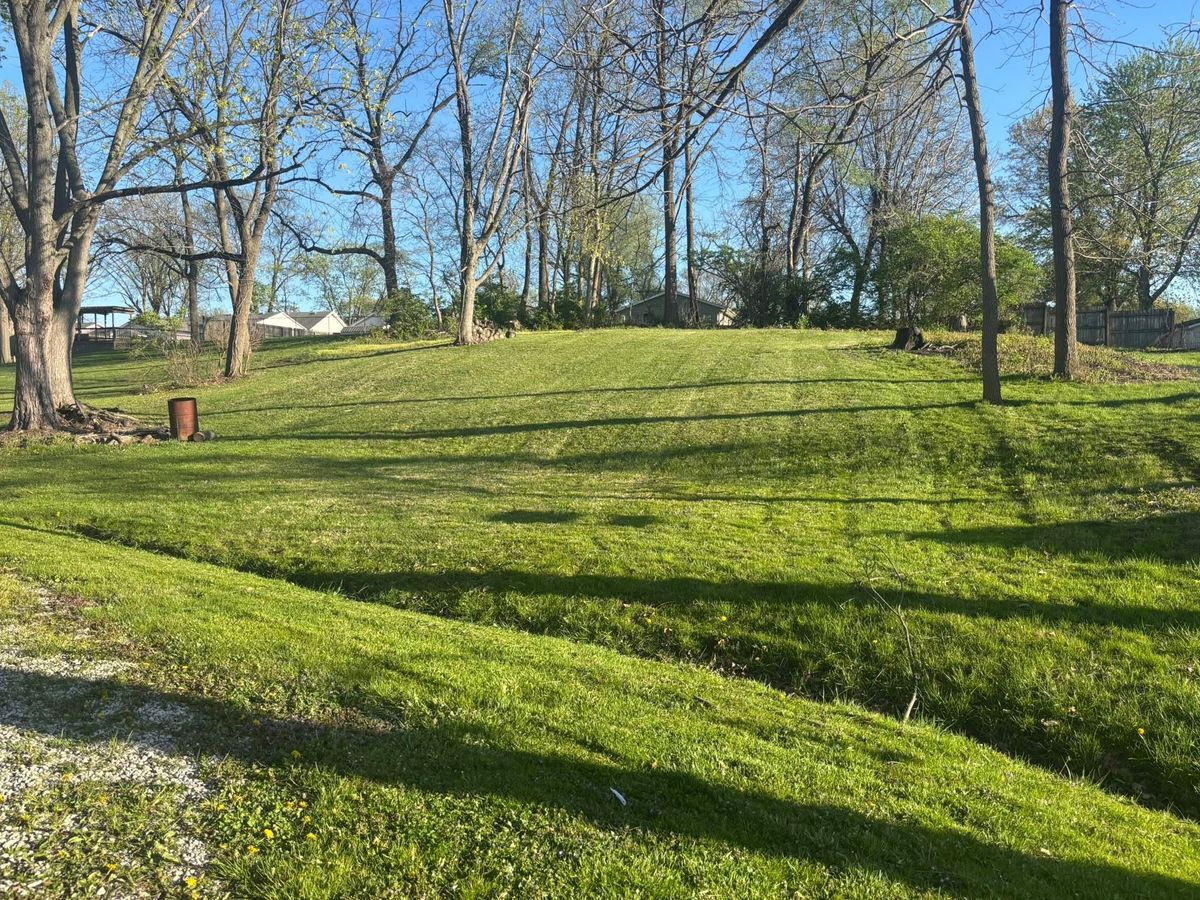 Yard Cleanup for KY Lawn Care in Springfield, IL