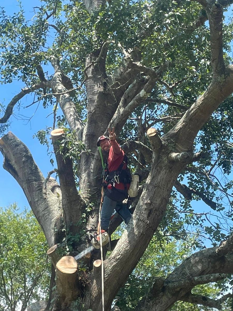 Tree Trimming for Equality Contracting And Tree in Kountze, TX